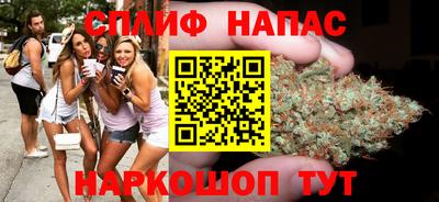 хмурый Шелехов