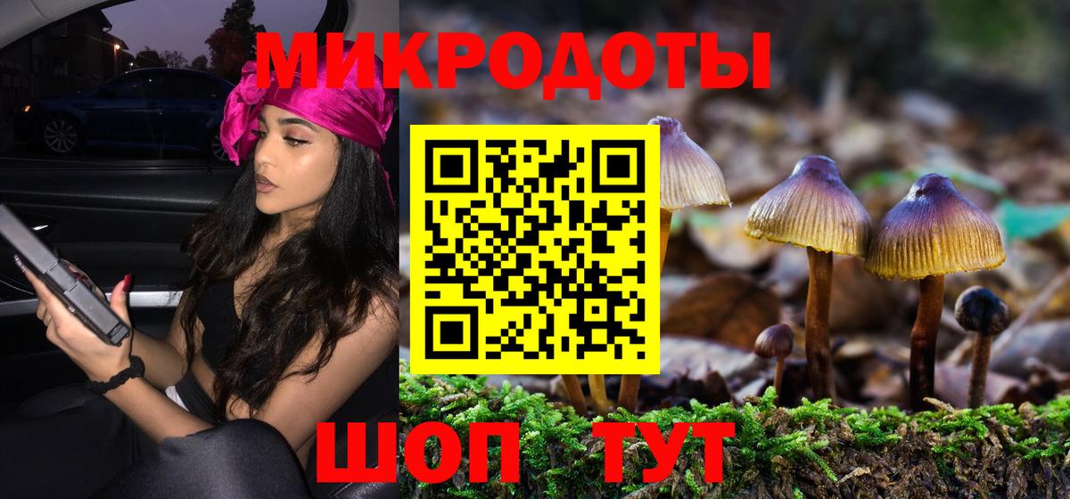 Галлюциногенные грибы Psilocybe  Вход с VPN  Волжск 