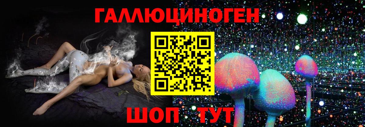 Галлюциногенные грибы Psilocybine cubensis Волжск